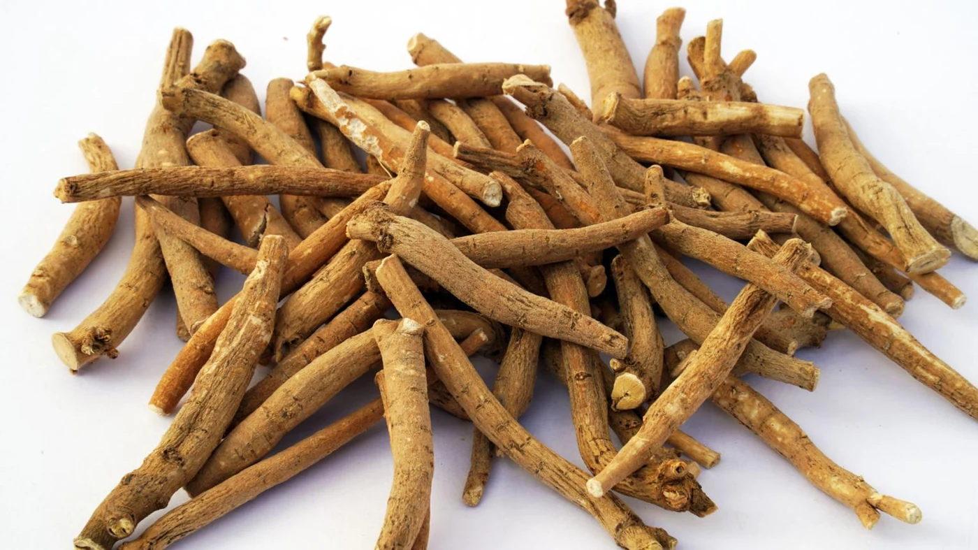Ashwagandha Root (Withania somnifera) used in Femina